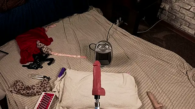 Frie_Moor webcam