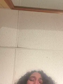 BunnyYT webcam