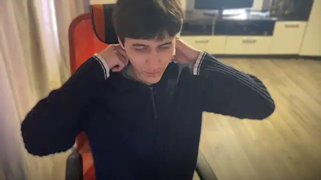 vialeras1 webcam