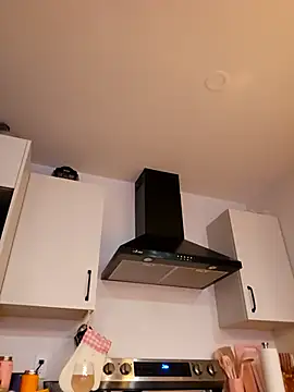 LilyOrion webcam