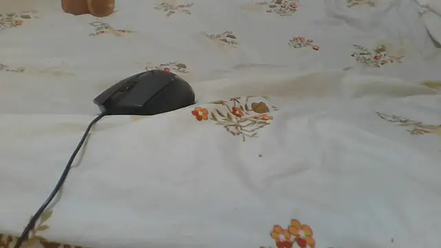 ndivhuwomuleya webcam