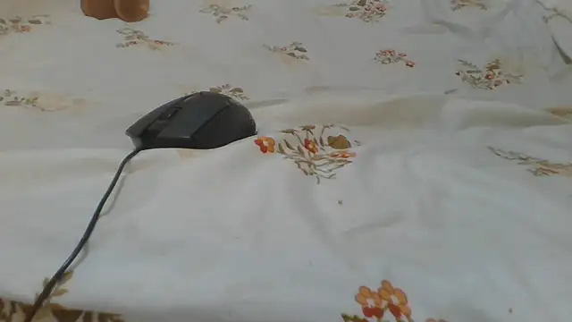 ndivhuwomuleya webcam