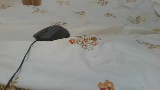 ndivhuwomuleya webcam