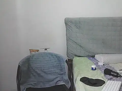 IronSideBear webcam