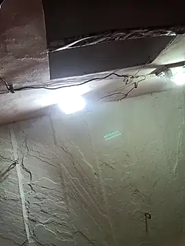 Deepjakolirr webcam
