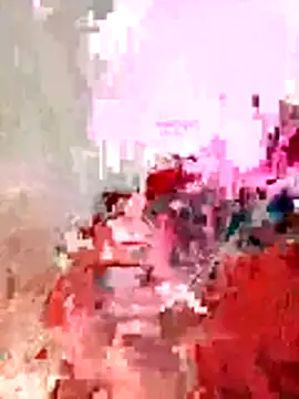 callistra webcam