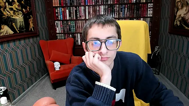 RonBevs webcam