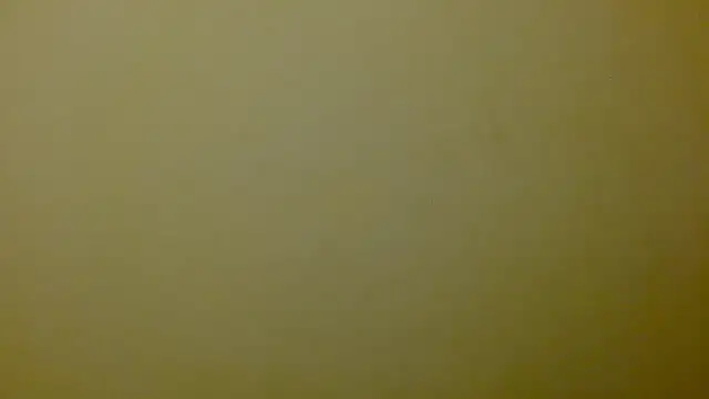 charlot160920 webcam
