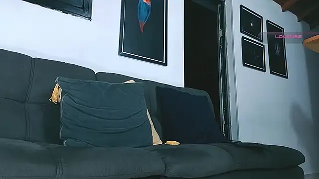 SilvaBranko webcam