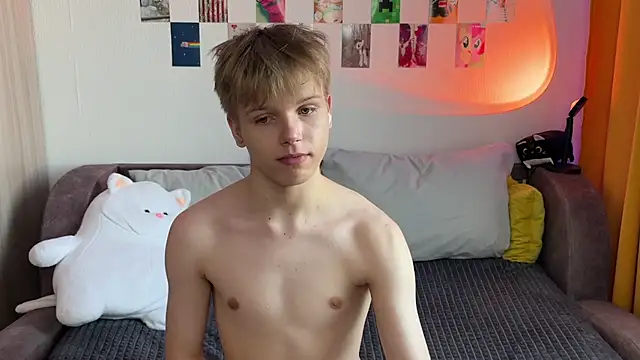 metarion webcam
