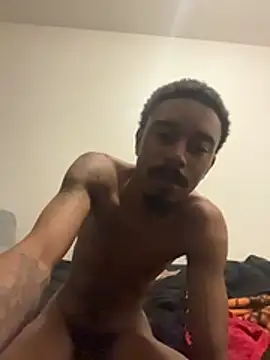 9blk webcam