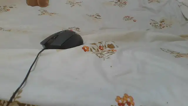 ndivhuwomuleya webcam