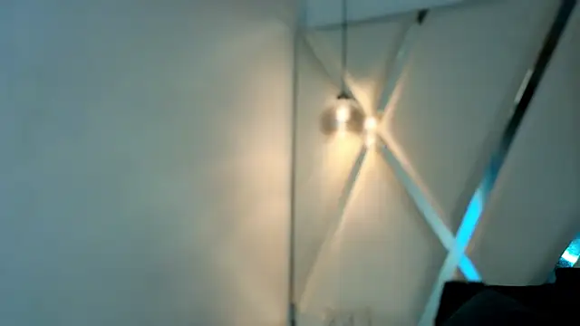 MeelFox webcam