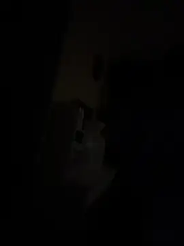 Naughtbaby_2025 webcam