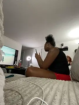 Bleuk webcam