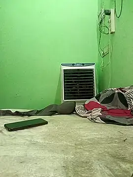 Paidnehu webcam