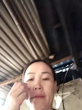 Fieng-cum webcam