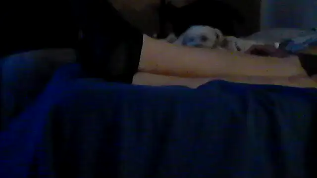 Silencio26 webcam