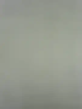 Amelia9798 webcam