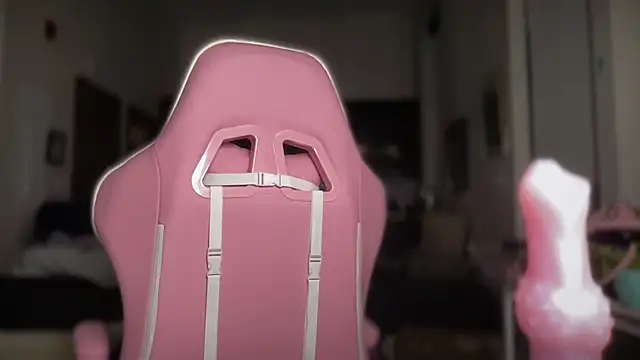 sopainfullysoft webcam