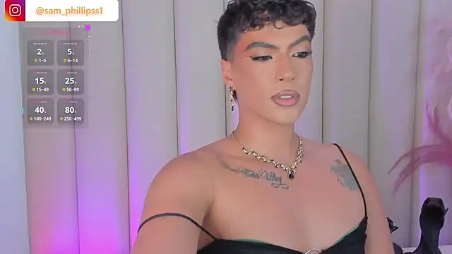 sam_phillipss webcam