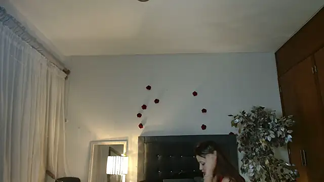 3littles webcam