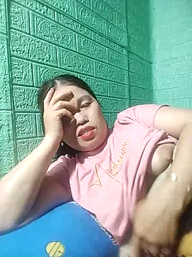 opna43 webcam