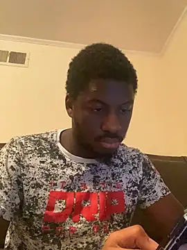 ThickDic28 webcam