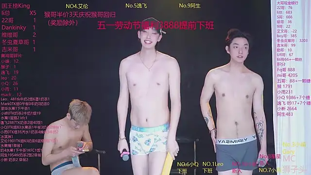 AAA-winner webcam