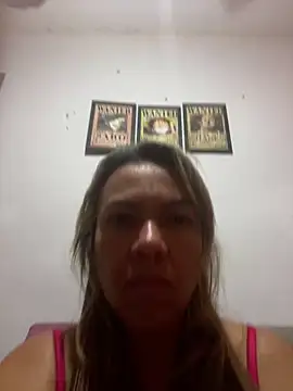 Anajuloirin webcam
