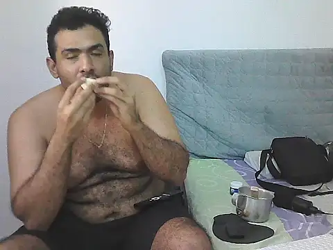IronSideBear webcam