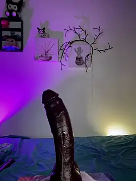 Solaangel_