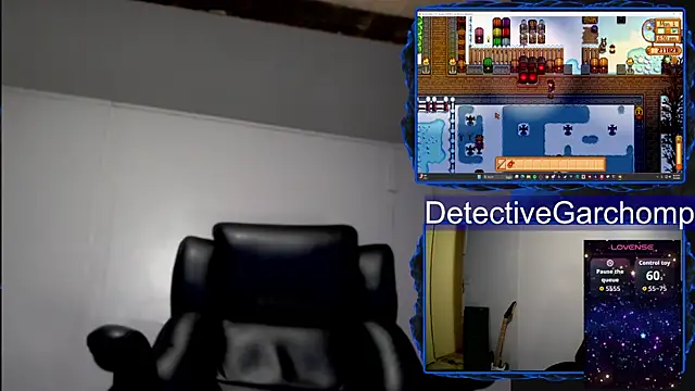 DetChompy webcam