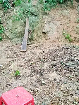 ngockem webcam