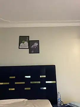 Dellah27 webcam