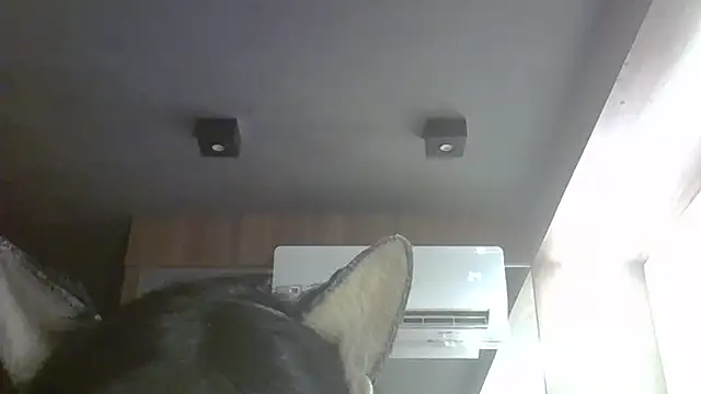 SkinnyKitten webcam