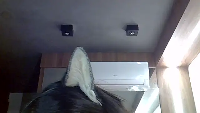 SkinnyKitten webcam