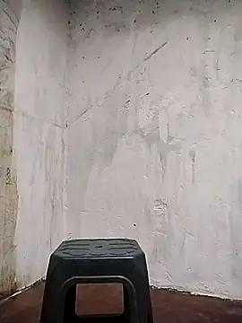 spittermasterpig1 webcam
