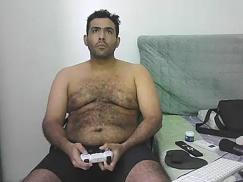 IronSideBear webcam