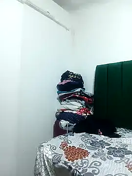 HipsDontLieX95 webcam