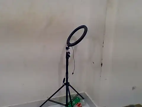 Ruchi_Singh0 webcam