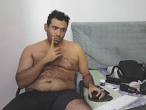 IronSideBear webcam