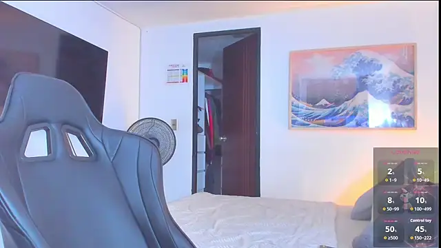 RJBarto webcam