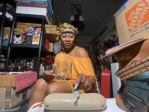 wynterheat webcam