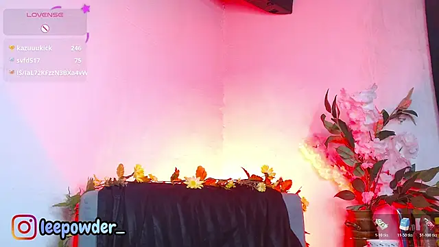LeePowder webcam