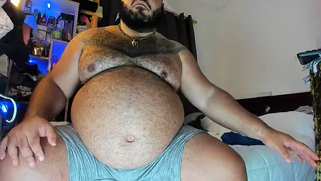 Bearspigdirty webcam