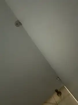 美女zhizhibaobei在线直播