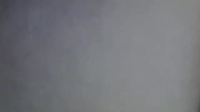 SkinnyKitten webcam
