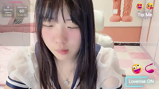 zhnlky webcam