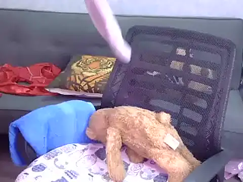 Bee_2k webcam
